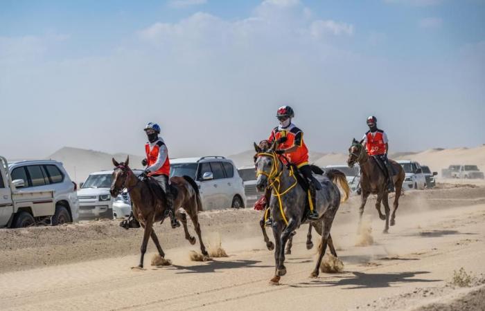 اخبار الرياضة | مهرجان سلطان بن زايد للقدرة يستأنف فعالياته