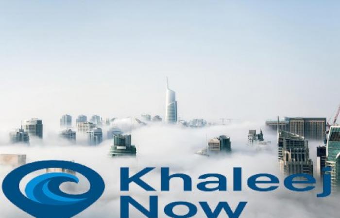 تركيا تطالب بإخراج قوات سوريا الديمقراطية من دمشق وتعزيز الحوار الوطني