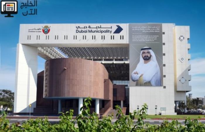 دبي تبدأ رسمياً تطبيق المرحلة النهائية لمنع البلاستيك أحادي الاستخدام مطلع يناير