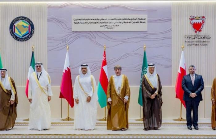 قطر الان | دولة قطر تشارك في اجتماع لجنة التعاون الكهربائي والمائي بدول مجلس التعاون الخليجي | الخليج الان