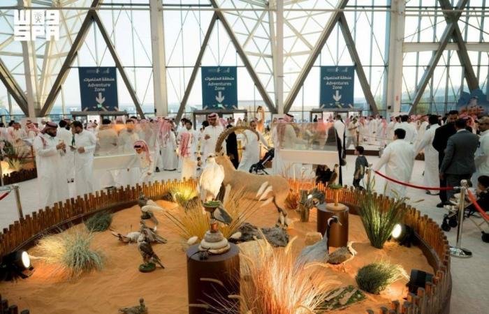 السعودية الان | ورش لتعليم تحنيط الحيوانات | الخليج الان