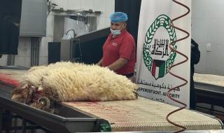 اخبار الكويت | بيت الزكاة ينتهي من تنفيذ مشروع الأضاحي | الخليج الأن
