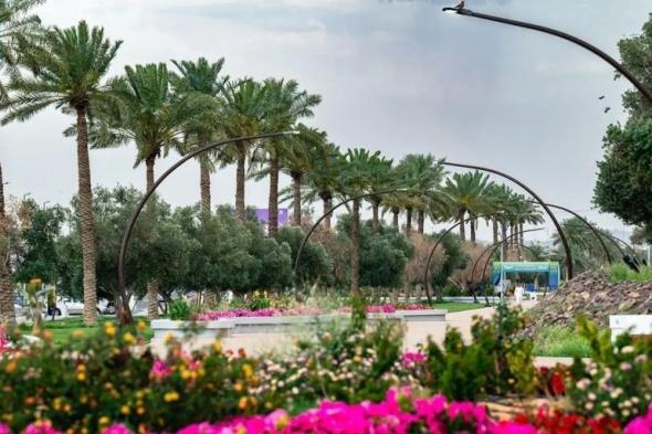 السعودية الان | تعزيز قطاع الحدائق بحائل | الخليج الان